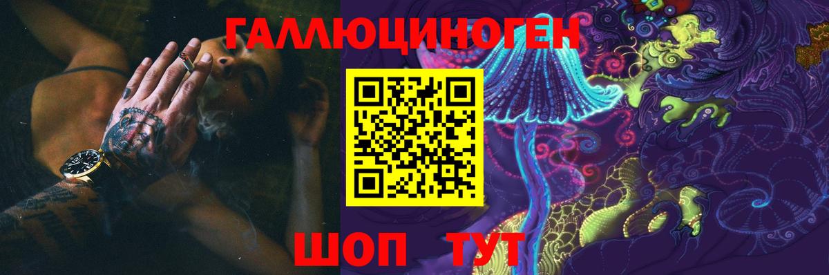 Галлюциногенные грибы Magic Shrooms  Вход с VPN  Россия  Псилоцибиновые грибы Psilocybe 